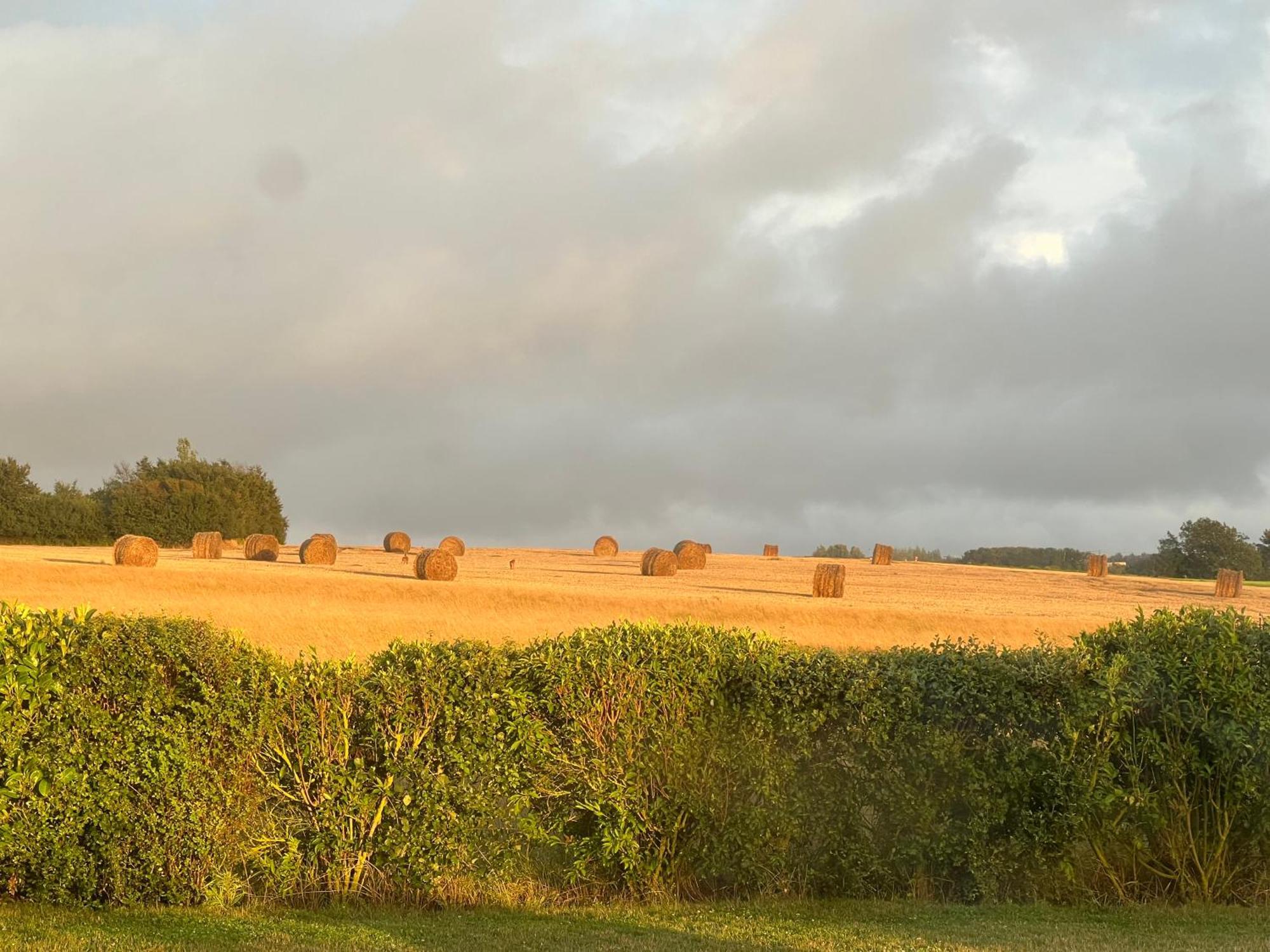 Coolcottage Des 2 Caps Leulinghen-Bernes エクステリア 写真